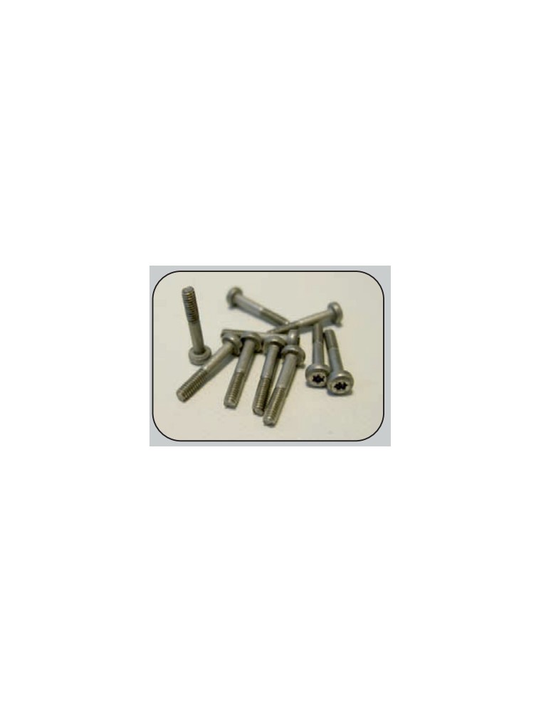 THUNDERSLOT - torx T6 metric screws 1.8 x 12 mm. (10 pcs.)