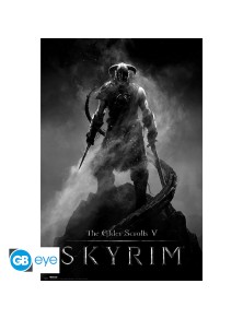 Skyrim - Dragonborn - Poster (91.5x61)