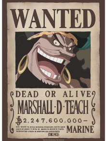 One Piece - Poster Ricercato "Wanted Blackbeard" 52 x 38 cm AbyStyle