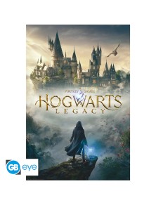 Harry Potter - Poster Maxi 91.5x61 - Hogwarts Legacy Key Art