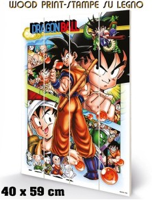 DRAGON BALL COMIC STRIP WOOD PRINT STAMPA SU LEGNO PYRAMID INTERNATIONAL