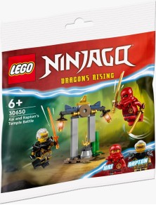 LEGO - Polybag - Ninjago: Battaglia nel tempo di Kai e Rapton