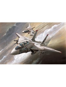 ACADEMY - 1/144 F-14