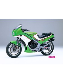 HASEGAWA - 1/12  Kawasaki...