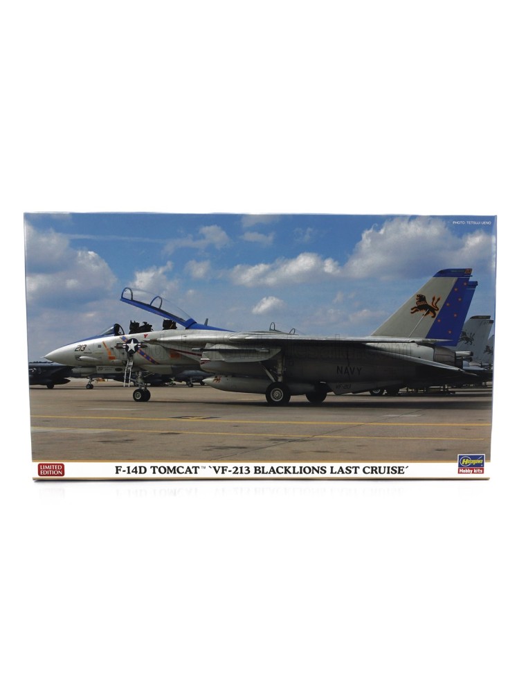 GRUMMAN - F-14D TOMCAT VF-213 BLACKLIONS LAST CRUISE MILITARY AIRPLANE 1974 - /