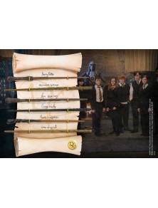 Harry Potter Display 6...