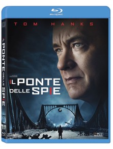 IL PONTE DELLE SPIE...