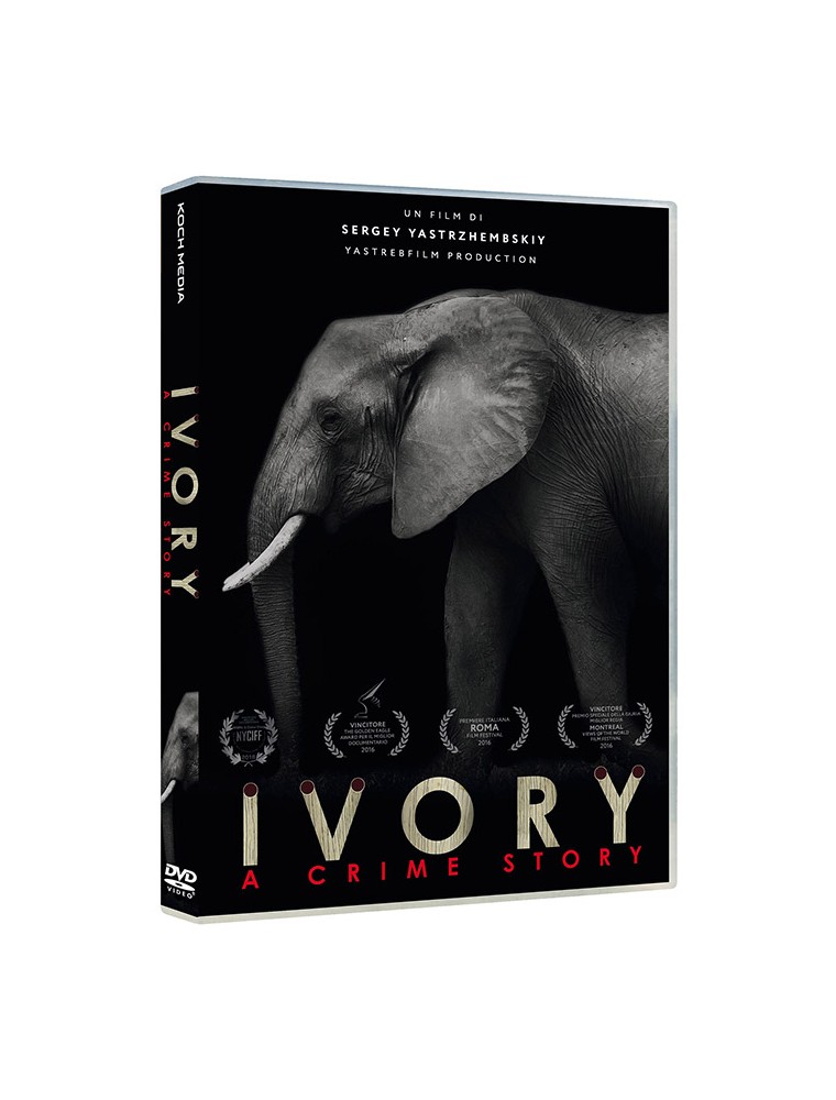 IVORY - A CRIME STORY DRAMMATICO DVD