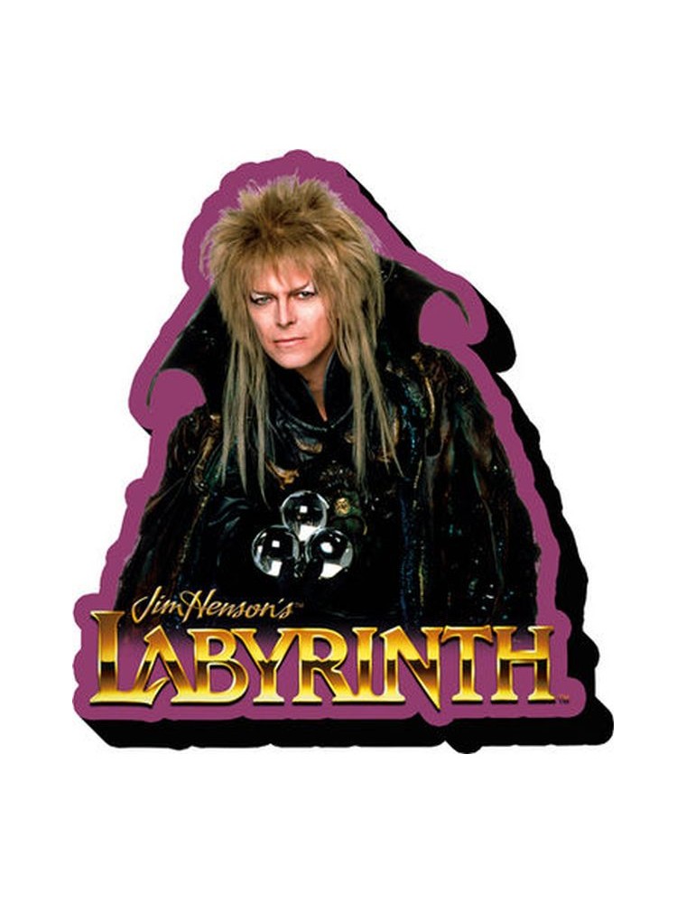 AQUARIUS ENT LABYRINTH JARETH MAGNET MAGNETI