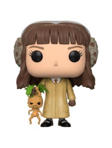 Harry Potter Funko POP Film...