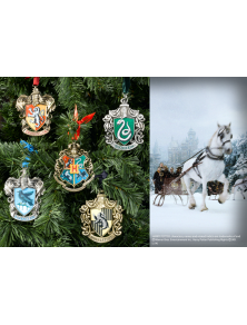 Harry Potter Ornamenti...