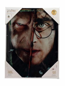 Sd Toys Harry Potter Half Face Harry&voldemort Poster di Vetro