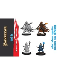 Wizkids Pathfinder Dcum Evil Wizards Gioco Di Ruolo