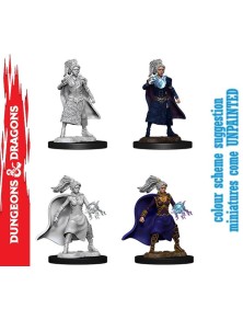 Wizkids D&d Nolzur Mum...