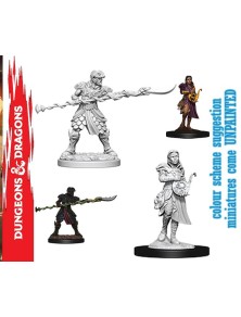 Wizkids D&d Nolzur Mum Yaun-ti Purebloods Miniature E Modellismo