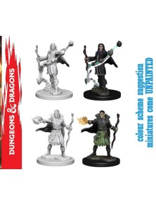 Wizkids Pathfinder Dcum Elf...