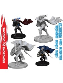 Wizkids Pathfinder Dcum Human Female Paladin Gioco Di Ruolo