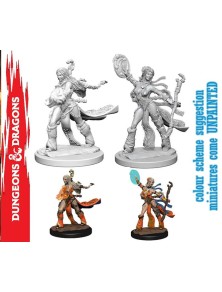 Wizkids Pathfinder Dcum...