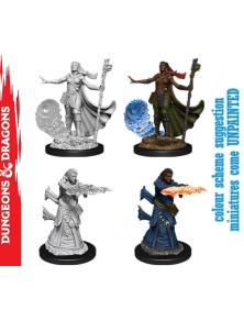 Wizkids D&d Nolzur Mum...