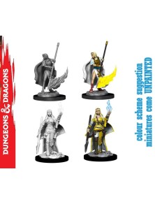 Wizkids Pathfinder Dcum...