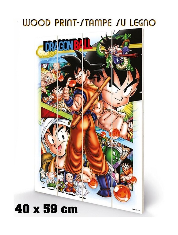 DRAGON BALL COMIC STRIP WOOD PRINT STAMPA SU LEGNO PYRAMID INTERNATIONAL