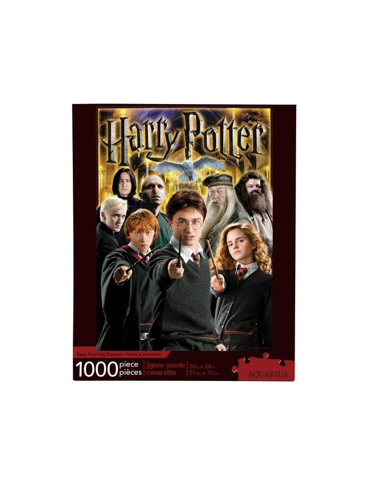 Harry Potter Collage 1000  Pezzi Puzzle Puzzle Aquarius Ent