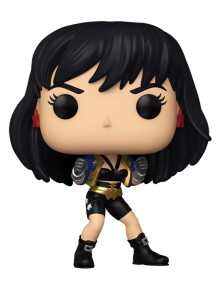 FUNKO POP HEROES: WONDER...