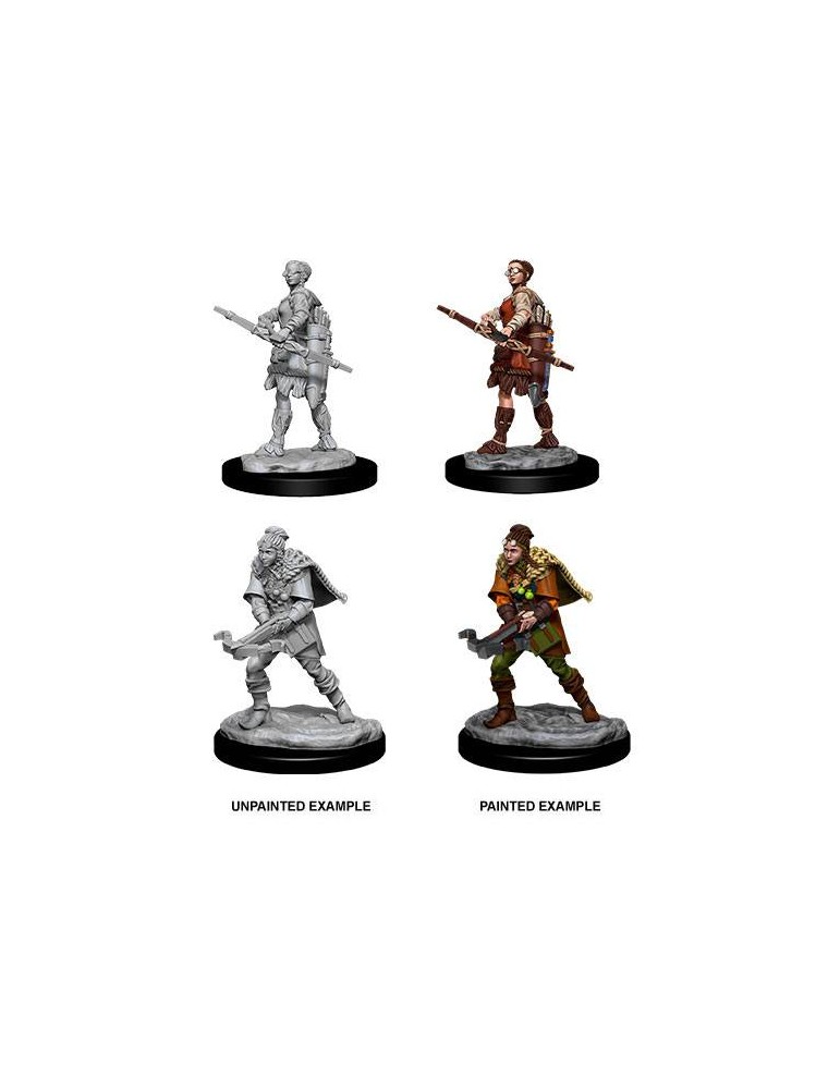 D&d Nolzur's Marvelous Miniatures Unpainted Miniatures Female Human Ranger Case (6) Wizkids