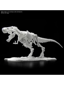 DINOSAUR LIMEX SKELETON...