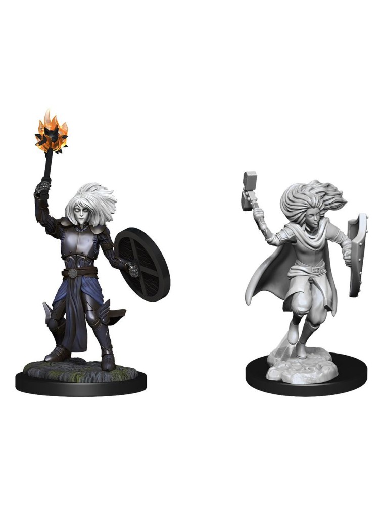 D&d Nolzur's Marvelous Miniatures Unpainted Miniatures Changeling Cleric Case (6) Wizkids