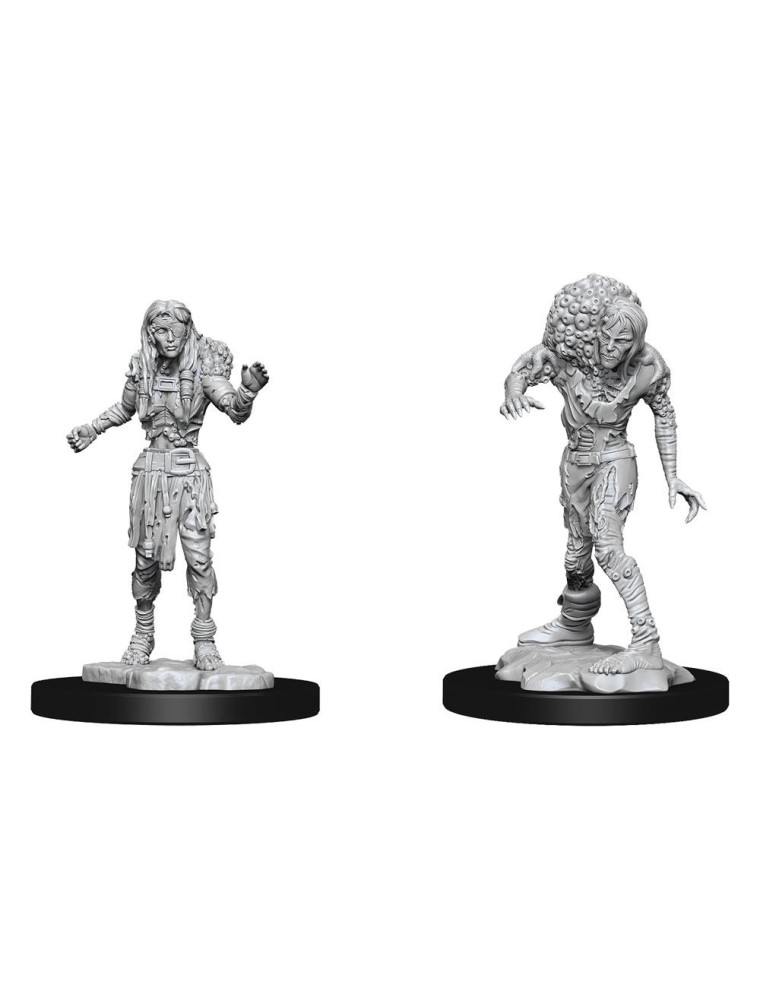 D&d Nolzur's Marvelous Miniatures Unpainted Miniatures Drowned Assassin & Drowned Ascetic Case (6) Wizkids