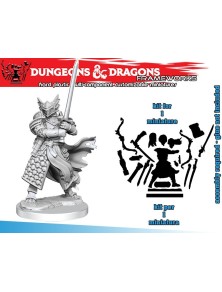 D&d Frameworks-dragonborn...