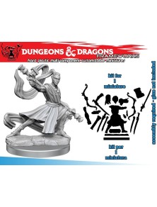 D&d Frameworks-elf Monk...