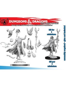 D&d Frameworks-human Druid...