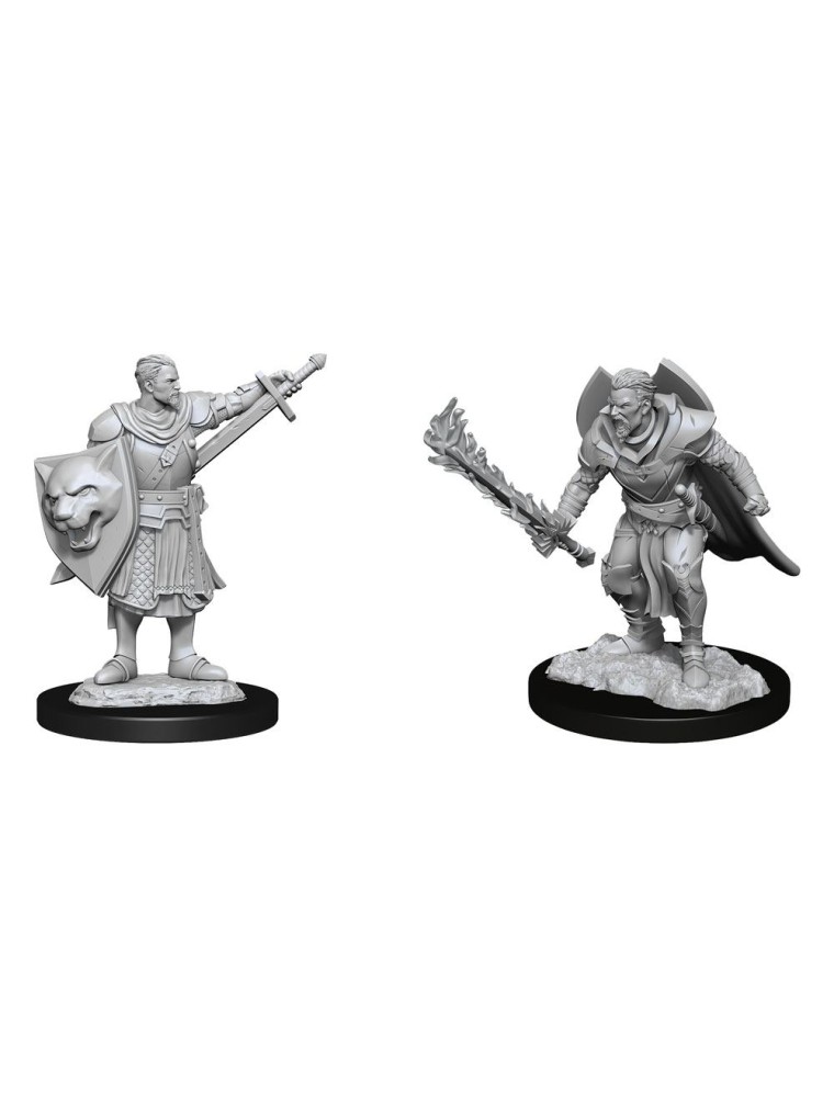 Pathfinder Battles Deep Cuts Unpainted Miniatures Human Champion Male Case (6) Wizkids