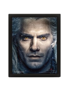 The Witcher Framed 3D...