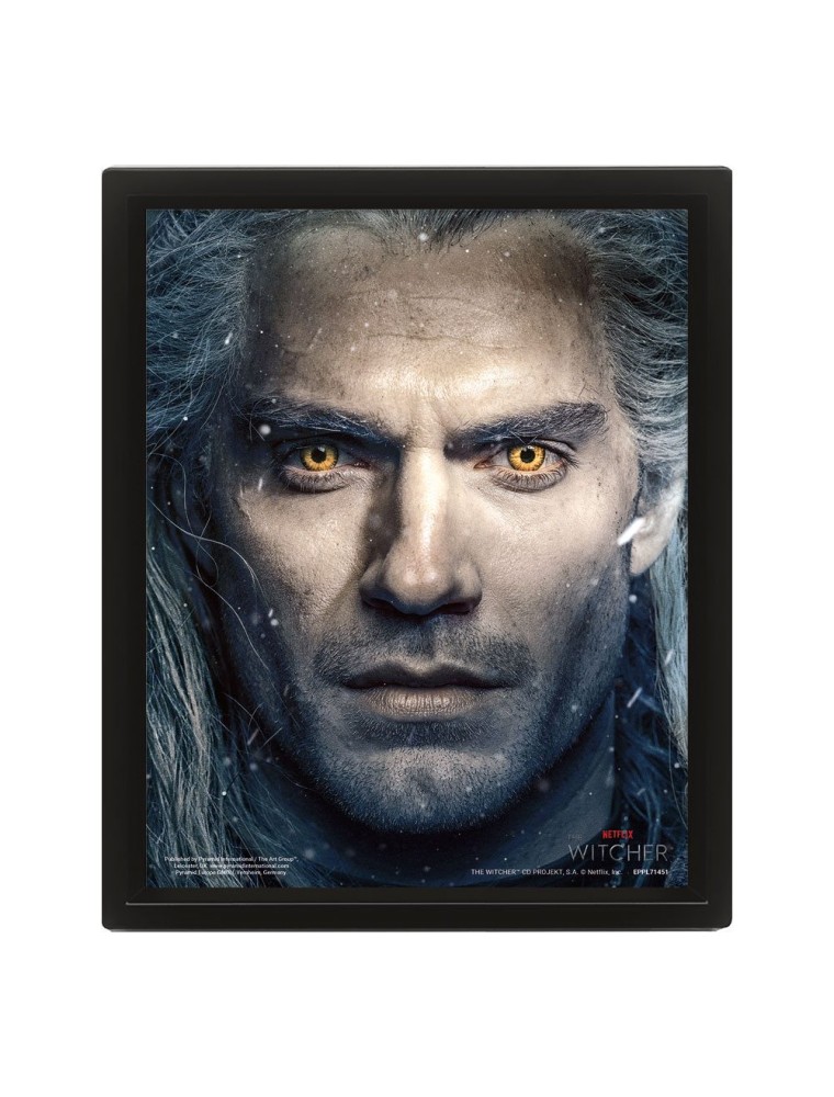 The Witcher Framed 3D Effect Poster Pack Intertwined 26 X 20 Cm (3) Pyramid International