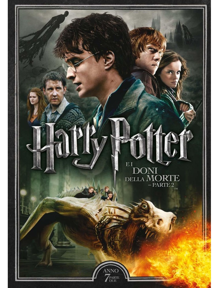 Harry Potter e I Doni della Morte - Parte 2 DVD Warner Bros.