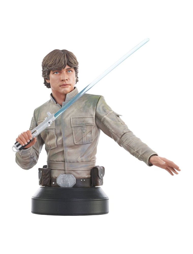 Star Wars Episode V Busto 1/6 Luke Skywalker 15 Cm Gentle Giant