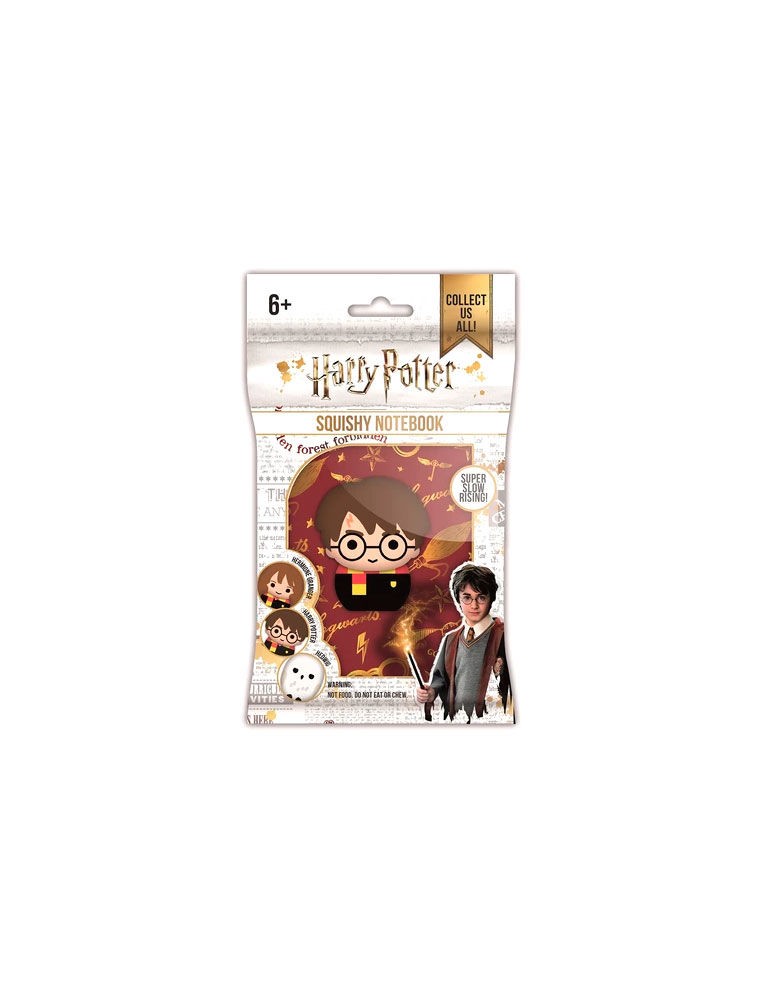 Harry Potter 3d A6 Agenda Blue Sky Studios