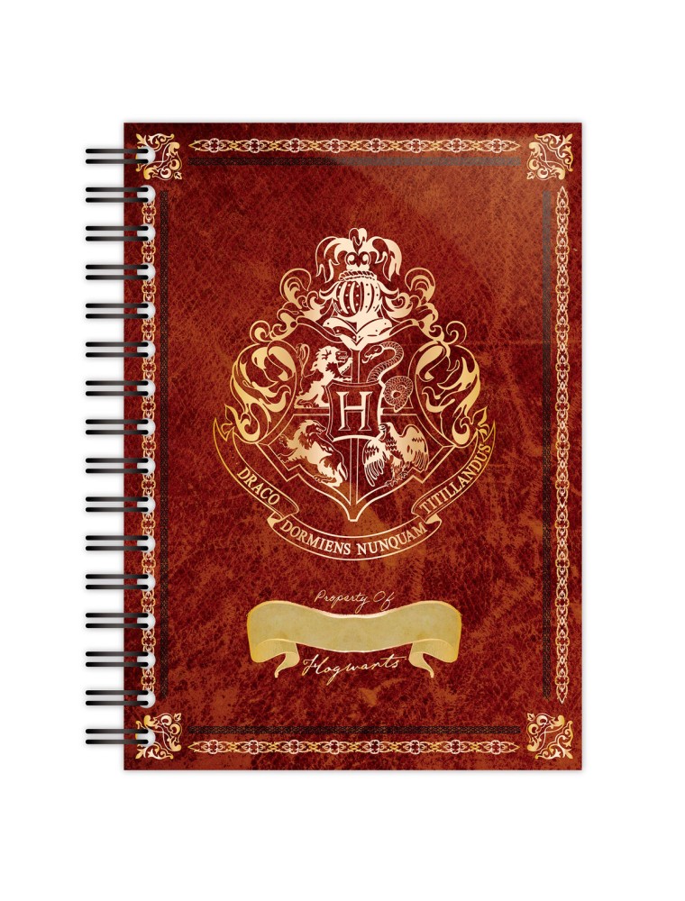 Harry Potter Hogwarts A5 Agenda Blue Sky Studios