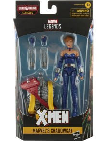 Marvel Legends Aoa...