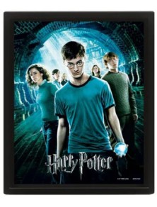 POSTER 3D LENT HARRY POTTER...