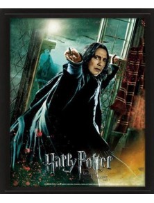 POSTER 3D LENT HARRY POTTER SNAPE - GADGET