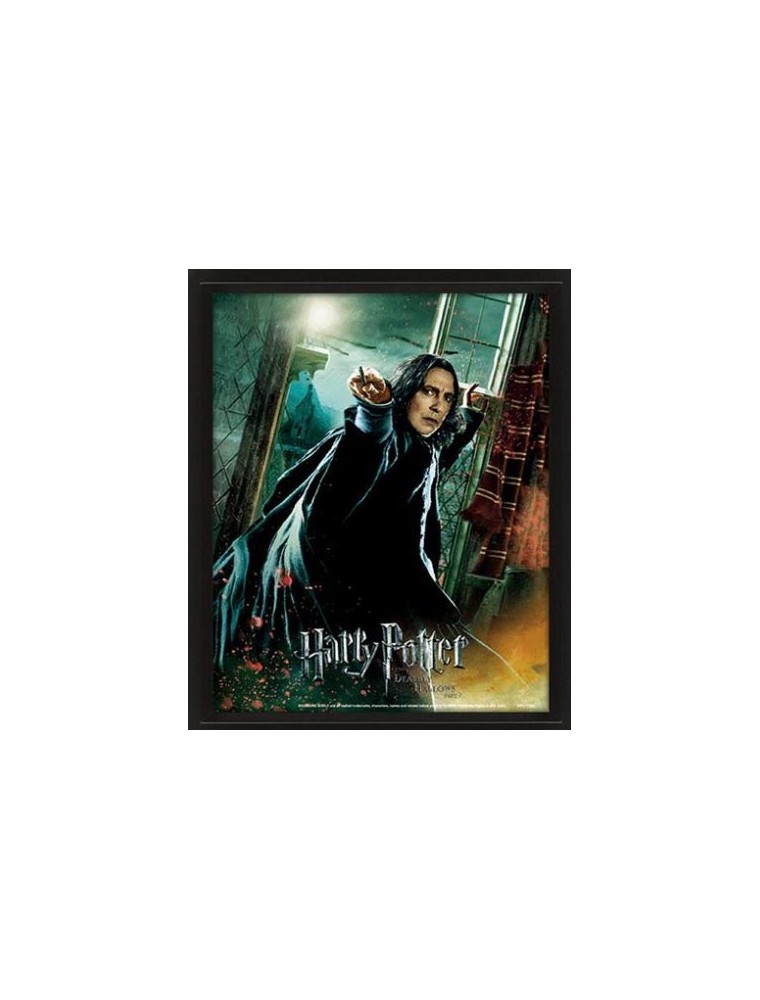 POSTER 3D LENT HARRY POTTER SNAPE - GADGET