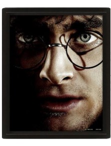 POSTER 3D LENT HARRY POTTER...