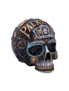 DESTINY PALMISTRY SKULL...