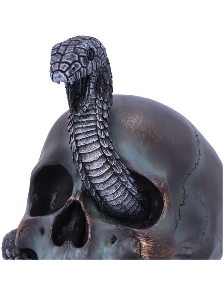 SERPENTINE FATE GOTHIC SNAKE SKULL STATUA NEMESIS NOW