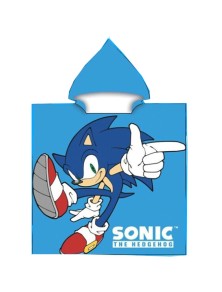 Sonic The Hedgehog...