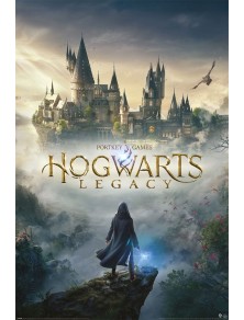 Hogwarts Legacy Poster Pack...